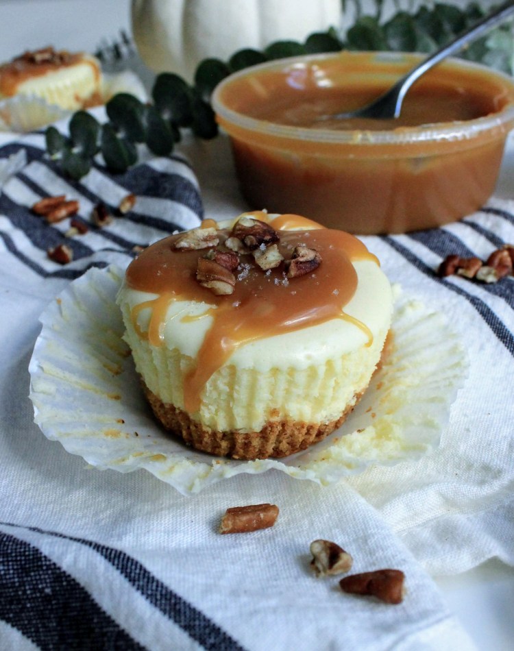 DNI NOV 18 - CHEESECAKE 6