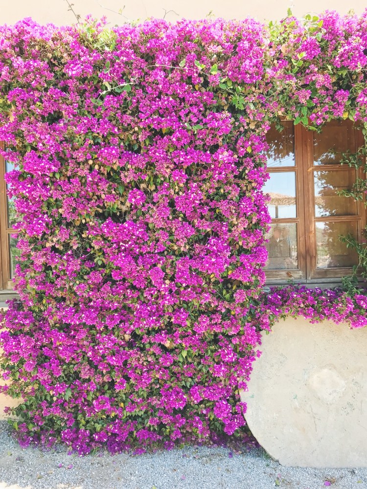 Processed with VSCO with f2 preset