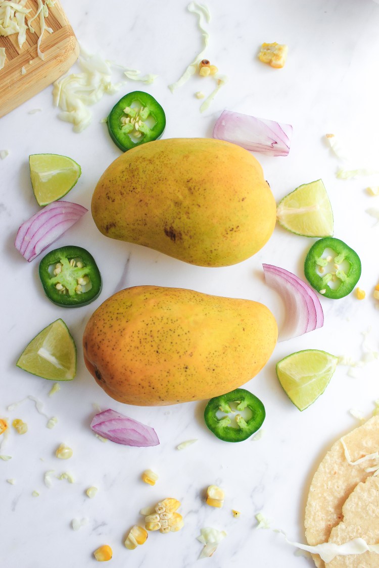 mango salsa - vertical 2